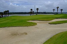 �j���[�W�[�����h�̃S���t��bFORMOSA