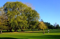 �j���[�W�[�����h�̃S���t��bWAITIKIRI G.C.