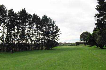 �j���[�W�[�����h�̃S���t��