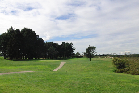 �j���[�W�[�����h�̃S���t��