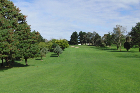 �j���[�W�[�����h�̃S���t��