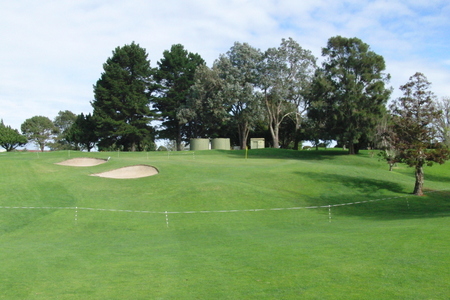 �j���[�W�[�����h�̃S���t��