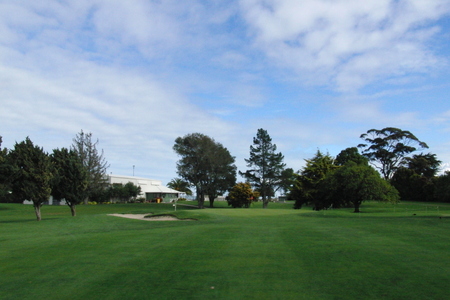 �j���[�W�[�����h�̃S���t��