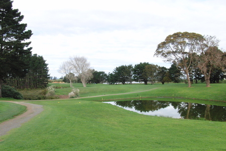 �j���[�W�[�����h�̃S���t��