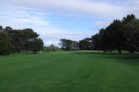 �j���[�W�[�����h�̃S���t��