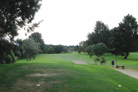 �j���[�W�[�����h�̃S���t��