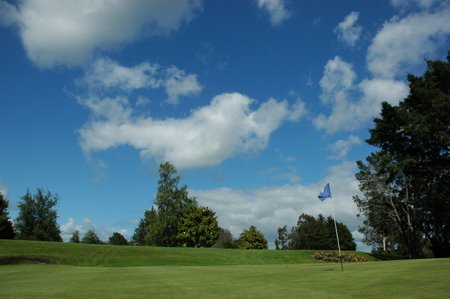 �j���[�W�[�����h�̃S���t��