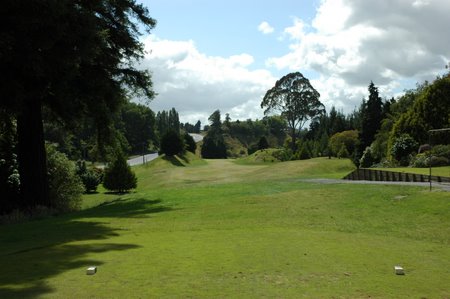 �j���[�W�[�����h�̃S���t��