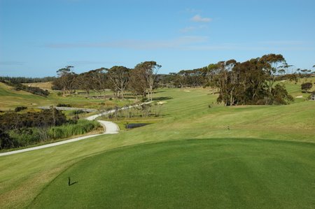 �j���[�W�[�����h�̃S���t��