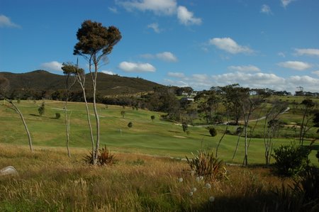 �j���[�W�[�����h�̃S���t��