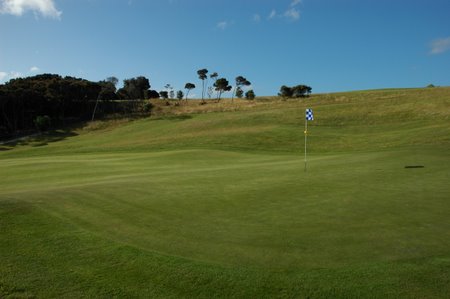 �j���[�W�[�����h�̃S���t��