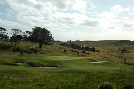 �j���[�W�[�����h�̃S���t��