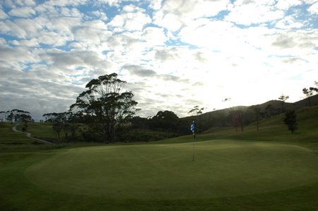 �j���[�W�[�����h�̃S���t��