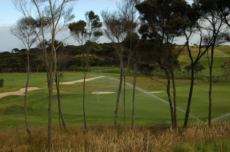 �j���[�W�[�����h�̃S���t��