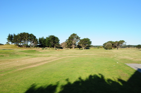 �j���[�W�[�����h�̃S���t��