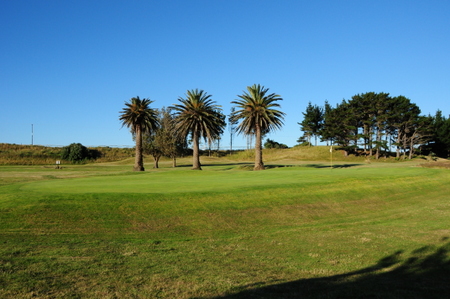 �j���[�W�[�����h�̃S���t��