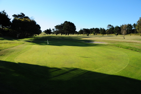 �j���[�W�[�����h�̃S���t��