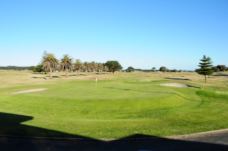 �j���[�W�[�����h�̃S���t��