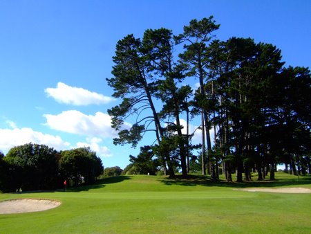 �j���[�W�[�����h�̃S���t��