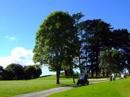 �j���[�W�[�����h�̃S���t��