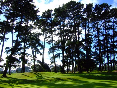 �j���[�W�[�����h�̃S���t��