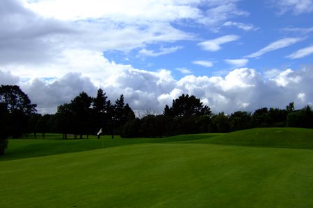 �j���[�W�[�����h�̃S���t��