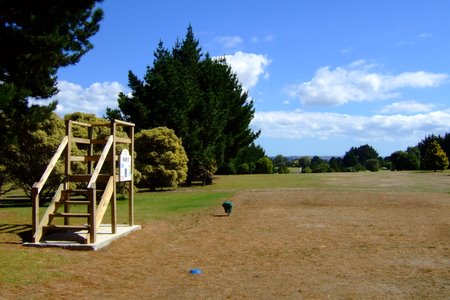 �j���[�W�[�����h�̃S���t��