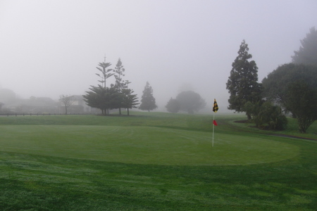 �j���[�W�[�����h�̃S���t��