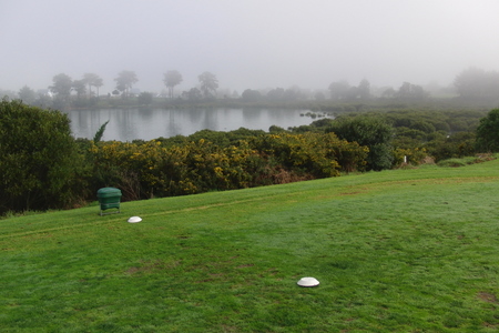 �j���[�W�[�����h�̃S���t��