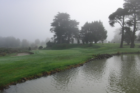 �j���[�W�[�����h�̃S���t��