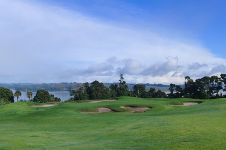 �j���[�W�[�����h�̃S���t��