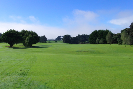 �j���[�W�[�����h�̃S���t��