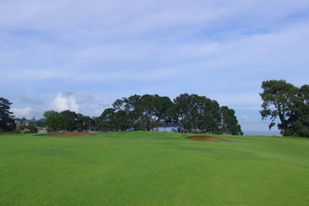 �j���[�W�[�����h�̃S���t��