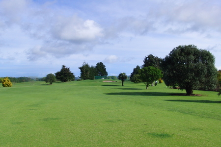 �j���[�W�[�����h�̃S���t��