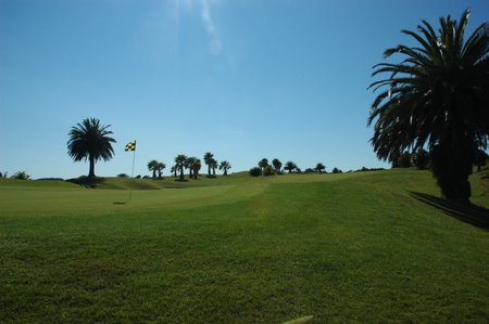 �j���[�W�[�����h�̃S���t��