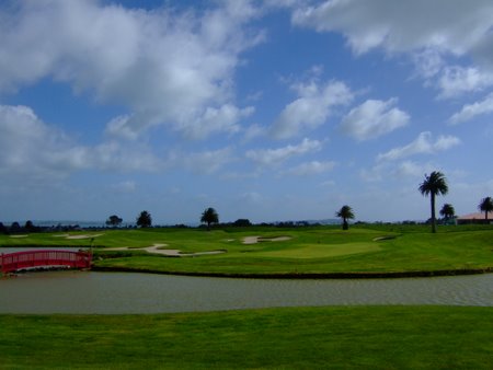 �j���[�W�[�����h�̃S���t��