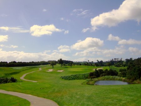 �j���[�W�[�����h�̃S���t��