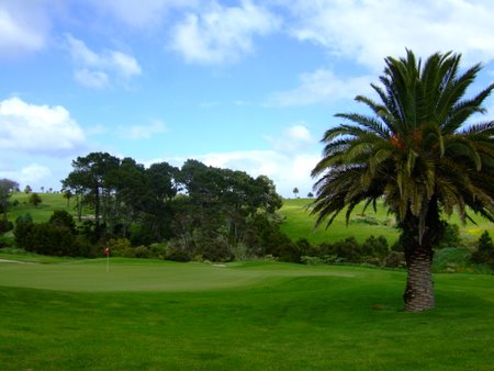 �j���[�W�[�����h�̃S���t��