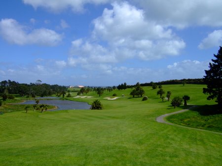 �j���[�W�[�����h�̃S���t��