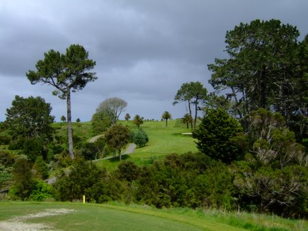 �j���[�W�[�����h�̃S���t��