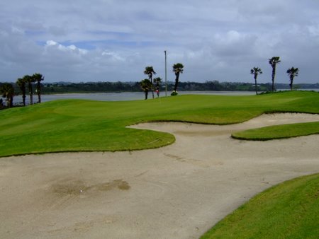 �j���[�W�[�����h�̃S���t��