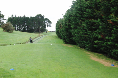 �j���[�W�[�����h�̃S���t��