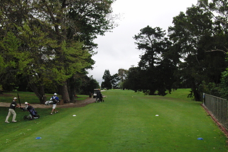 �j���[�W�[�����h�̃S���t��