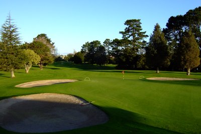 �j���[�W�[�����h�̃S���t��