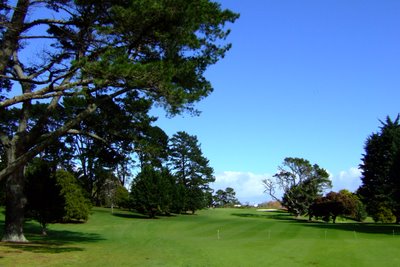 �j���[�W�[�����h�̃S���t��