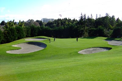 �j���[�W�[�����h�̃S���t��