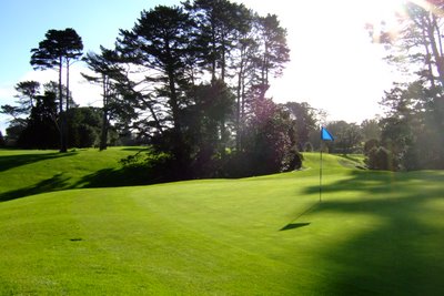 �j���[�W�[�����h�̃S���t��