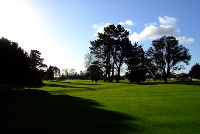 �j���[�W�[�����h�̃S���t��