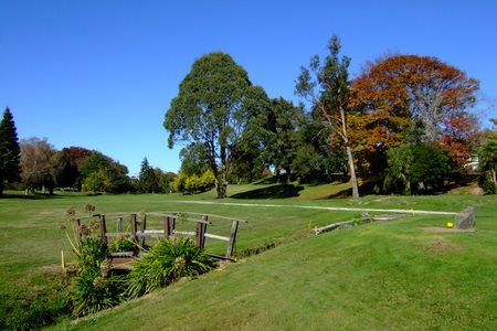 �j���[�W�[�����h�̃S���t��