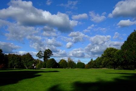 �j���[�W�[�����h�̃S���t��